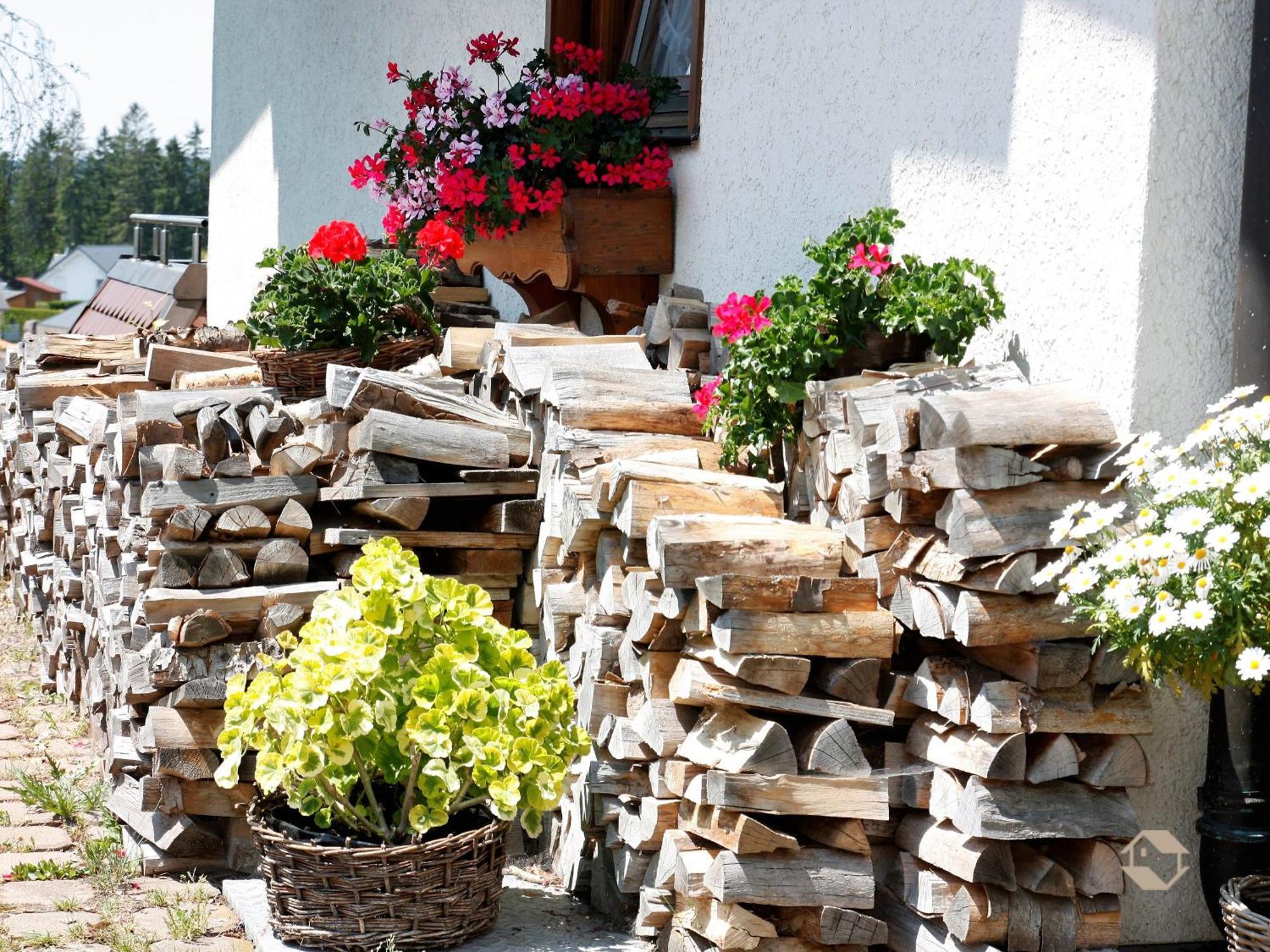 Haus Kandelblick Furtwangen Exterior photo